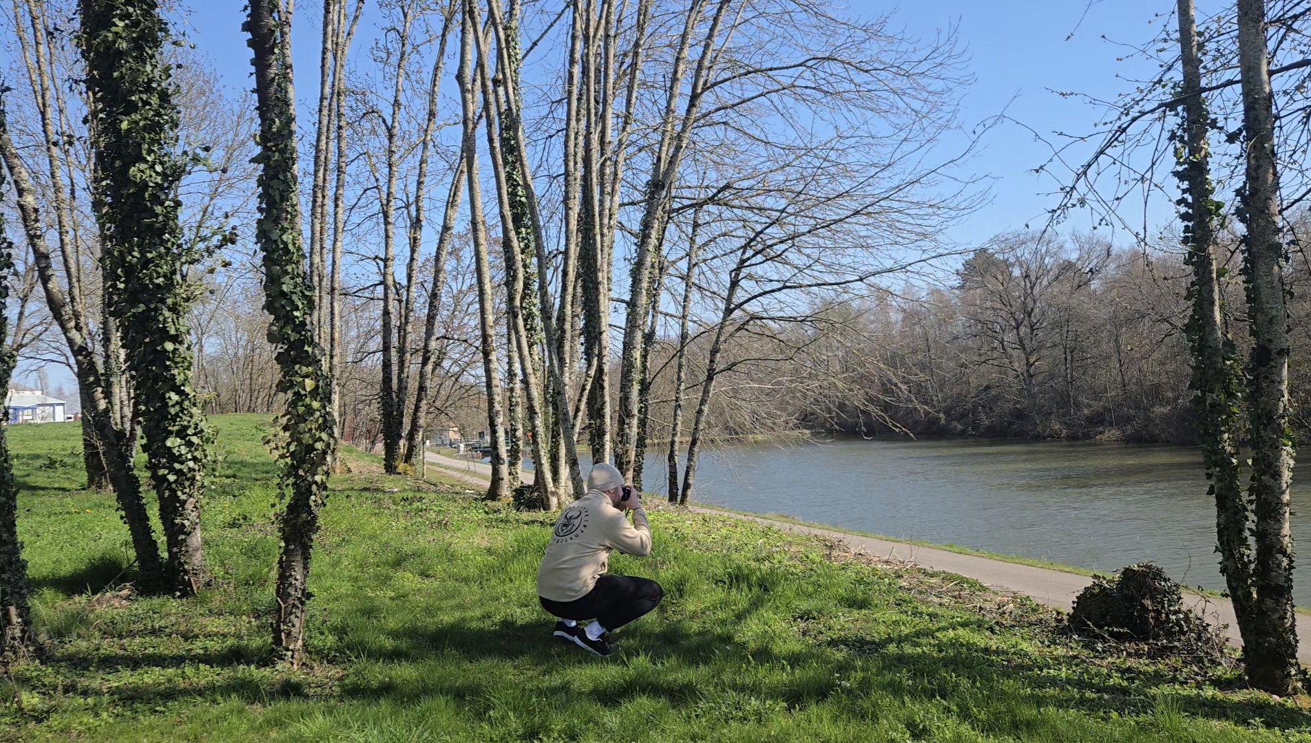 Forêt et rivière